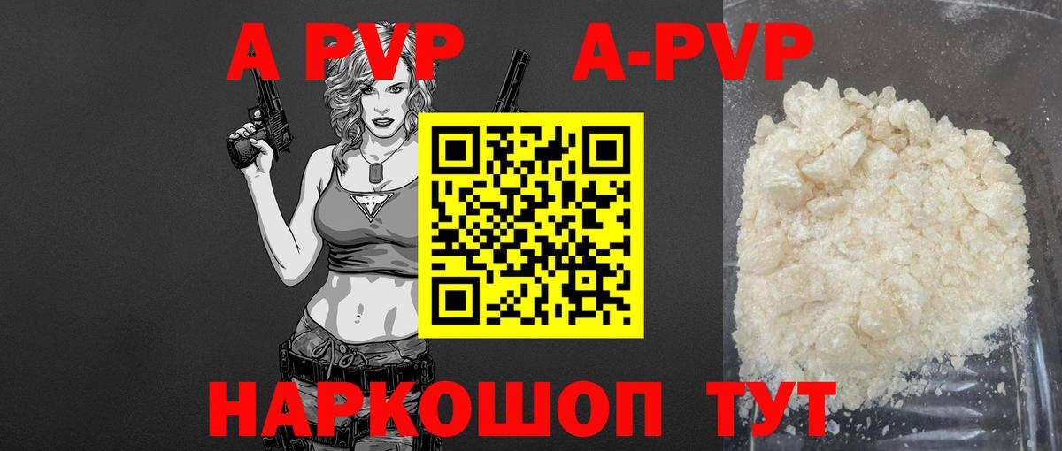 Alfa_PVP СК КРИС Аша
