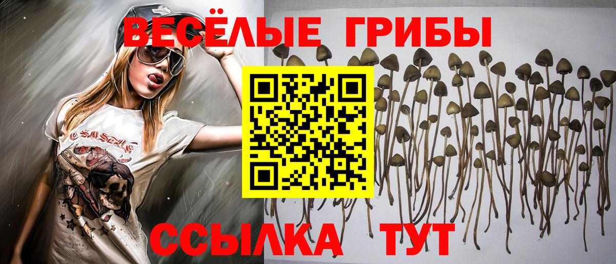 наркошоп  Галлюциногенные грибы мицелий  Псилоцибиновые грибы мухоморы  Вход с VPN  Аша 