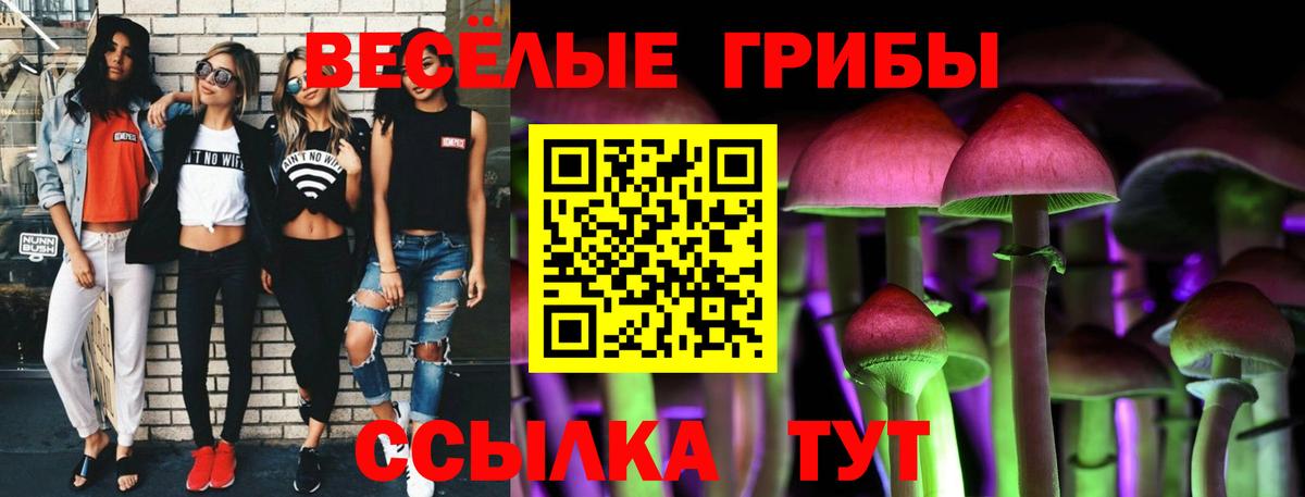 Галлюциногенные грибы Psilocybine cubensis Аша